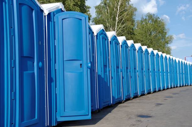 Best Sanitation services for porta potties  in Roaming Shores, OH